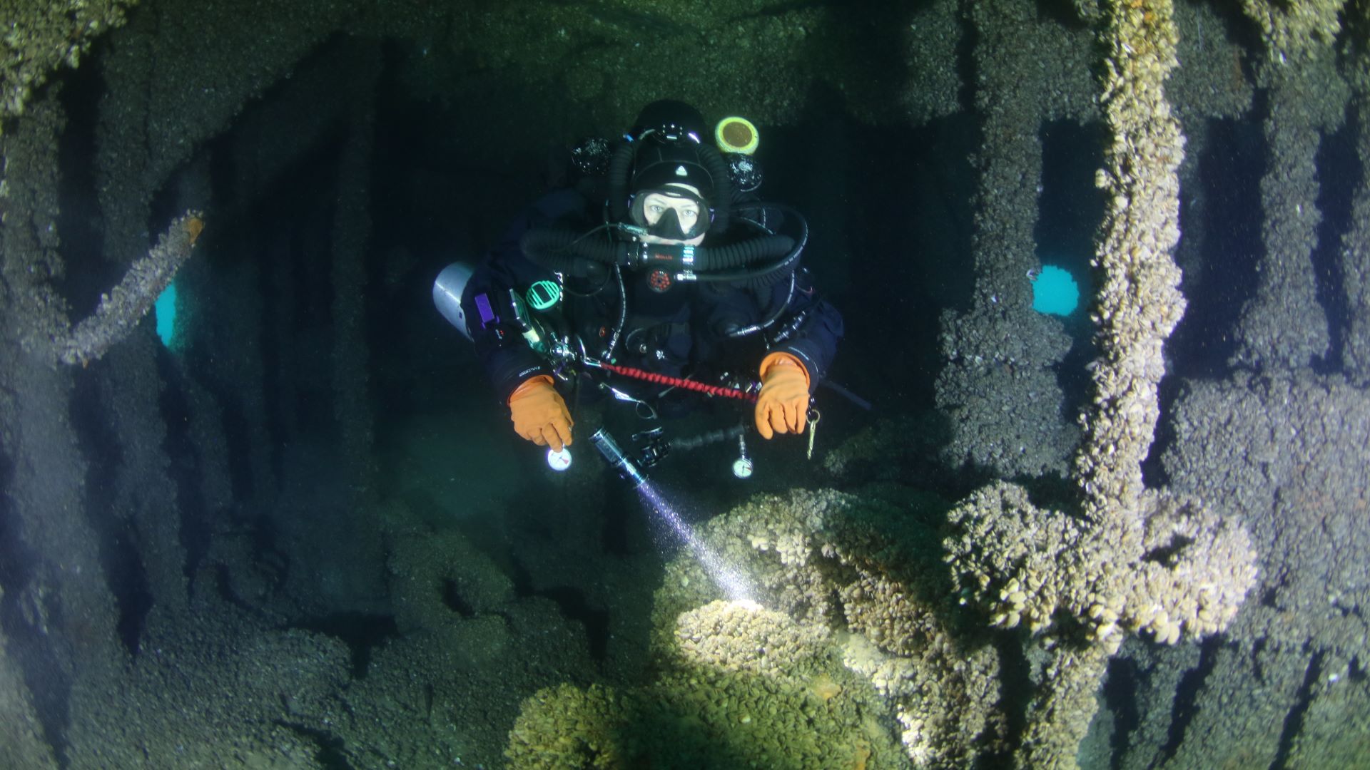 Diver using light near a Great Lakes wreck in low visibility