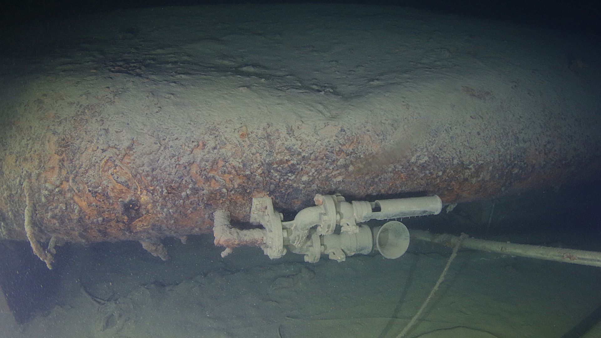 Wreck silhouette appearing in the water column