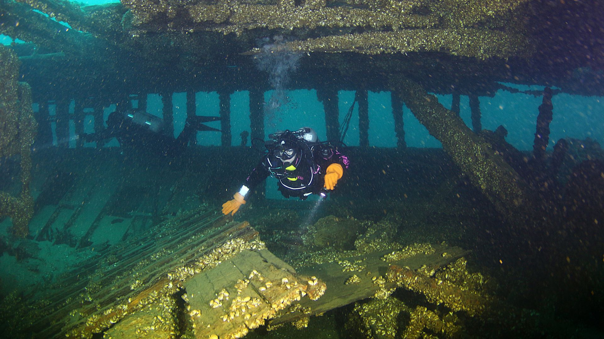 Diver exploring preserved structure