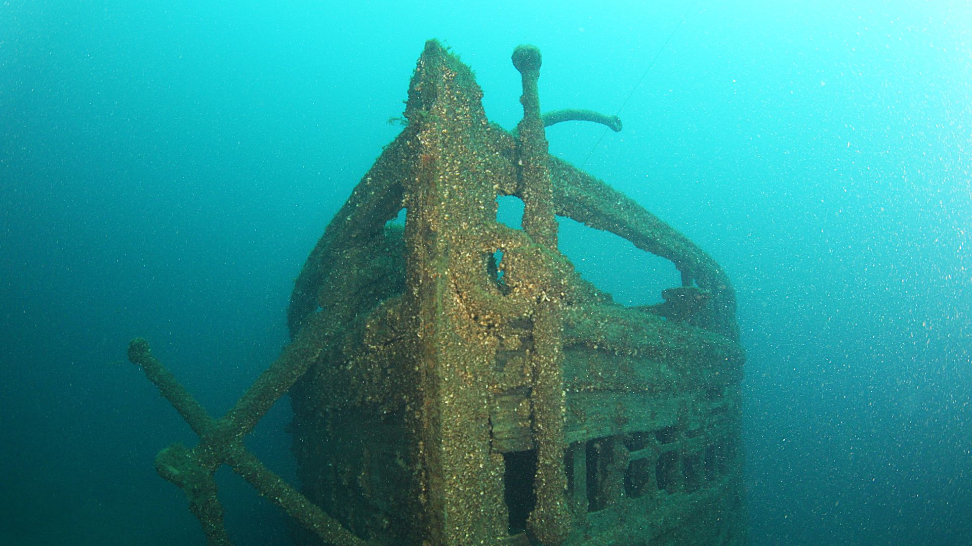 Cold-water local diving