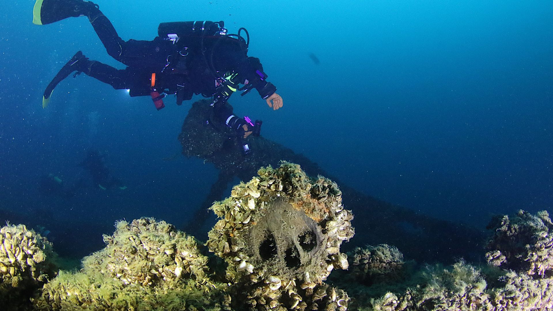 Confident diver growing into Great Lakes diving