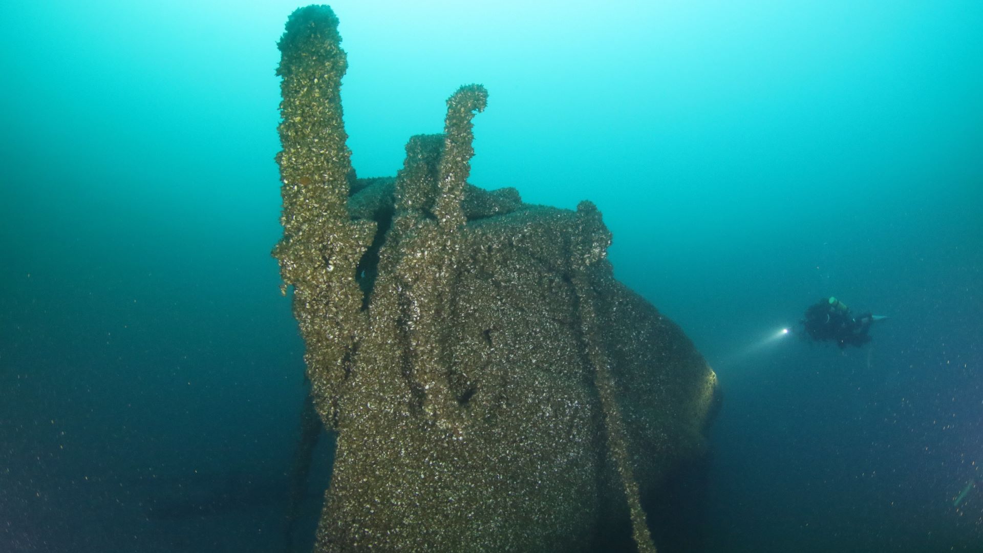 Intact wreck feature